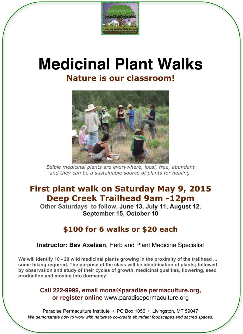 Class-flyers-spring-2015-medicinal-plant-walks-w