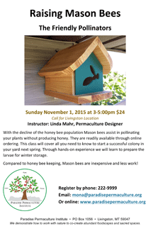 PPI Workshop November 1 2015: Raising Mason Bees