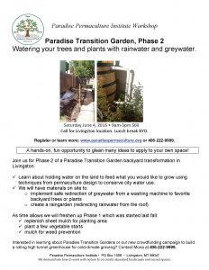 PPI Paradise Transition Garden Phase 2 Workshop