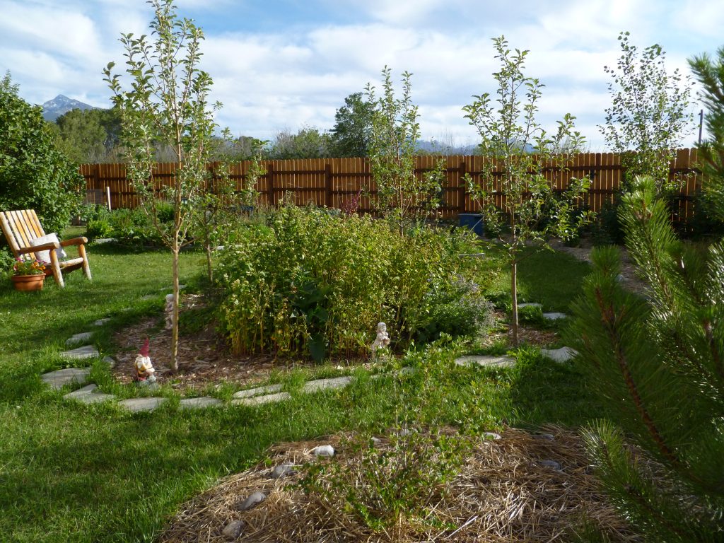 Permaculture food forest garden