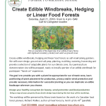 Paradise Permaculture Institute Workshop on creating edible windbreaks