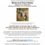 2018 Medicinal Plant Walks with Bev Axelsen