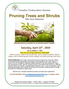 Flyer for PPI Workshop Pruning Trees and Shrubs April 13 2019w