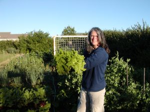 Photo of author Cheryl Moore-Gough holding harvest of Black Seed Simpson lettuce.