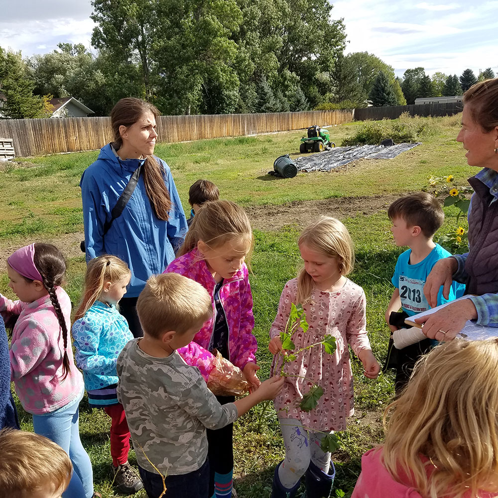 Wild and Free Nature group from Bozeman visiting PPI for workshop in ID tasting and recording information of plants. Fall 2019.