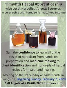 Angela Segraves 2020 Herbal Apprenticeship in partnership with Paradise Permaculture Institute - flyer
