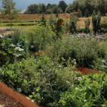 Permaculture March 4 through April 1