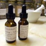 Herbal Anti-bacterials - Tincture & Capsule Making