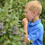 Family Plant Walk - Suce Creek