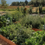 Permaculture Principles