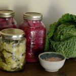 Fermentation for Food Preservation (cancelled)