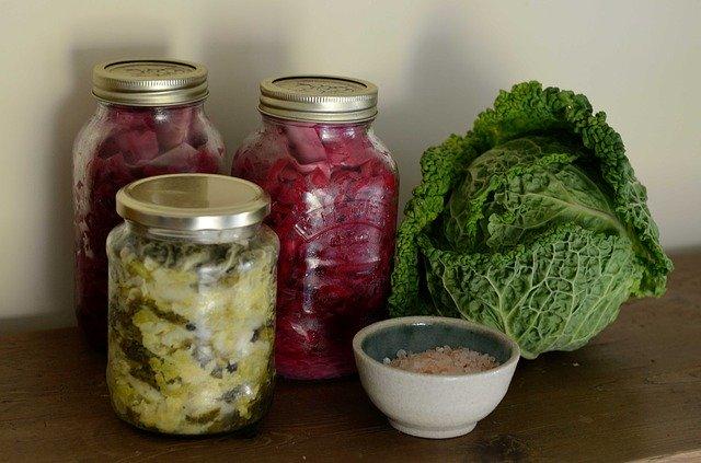 Fermentation for Food Preservation (cancelled)