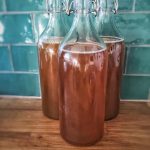 Learn how to make Probiotic Beverages
