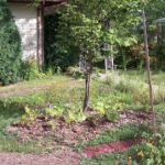 CANCELLED: Create an Easy Care Rain Garden Workshop with Mona Lewis