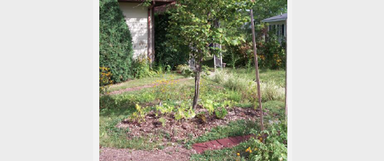 CANCELLED: Create an Easy Care Rain Garden Workshop with Mona Lewis