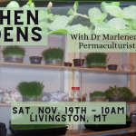 Kitchen Gardens: Microgreens & Indoor Winter Gardening