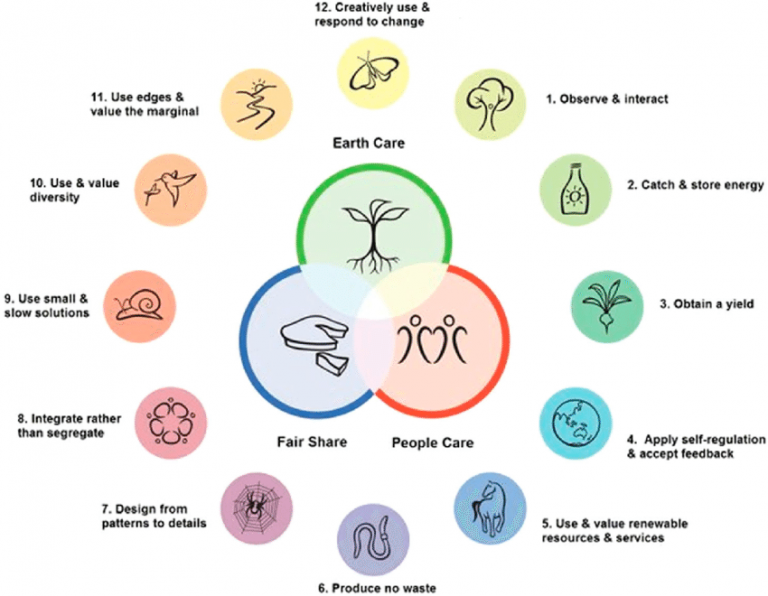 Detailed diagram illustrating permaculture design principles for sustainable living