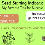 Seed Starting Indoors My Favorite Tips for Success