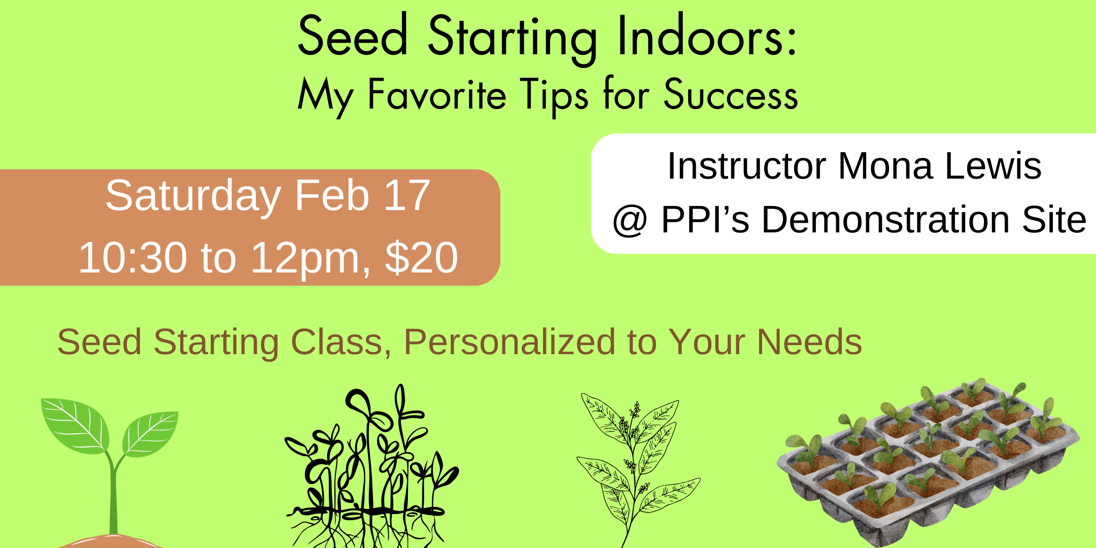 Seed Starting Indoors My Favorite Tips for Success