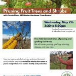 Pruning Fruit Trees and Shrubs